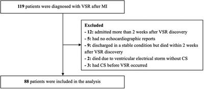 Risk factors for immediate and delayed cardiogenic shock in patients with ventricular septal rupture after myocardial infarction